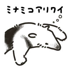 Southern Tamandua_01