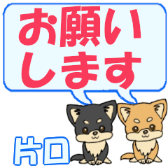 Katakuchi's letters Chihuahua2