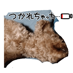 pokopoko_20241027082748