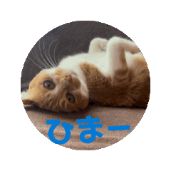 takuya_20241027083855