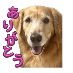 erix_20241027190304