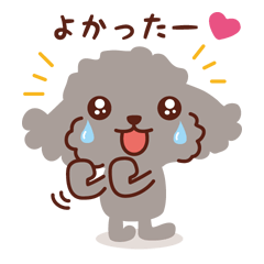 Toy Poodle_Stickers you can use anytime