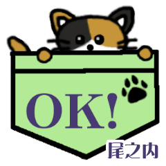 Onouchi's Pocket Cat's  [22]