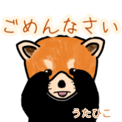 Utahiko's lesser panda