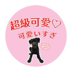 動物日常12