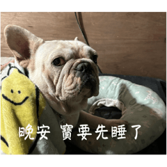 麻吉其實是叫麻糬