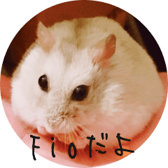 Fio the Hamster