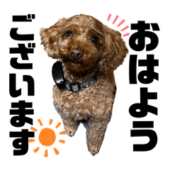 Yabakodesuuu_20241027190115