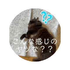 hiroki_20241028084155