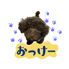 jilu_20241027