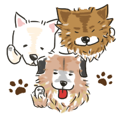 TARO Family(3dogs)