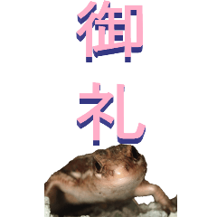 Chinese characters From lizard2-BIG