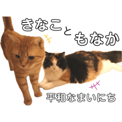 yuriemon2828_20241027104028