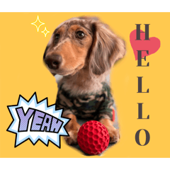 ruppi_20241028120815