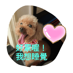 狗狗汪♥️