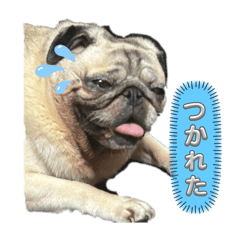 MAH_20241028192019
