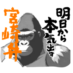 Powerful Gorilla (Miyazaki dialect)