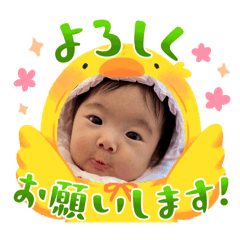 kj_20241028213407