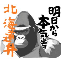 Powerful Gorilla - Hokkaido Dialect