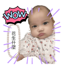 兩個哥哥的小梅子