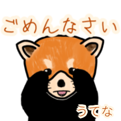 Utena's lesser panda