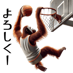 Orangutan x Basketball!