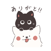 ponta_20241027224733