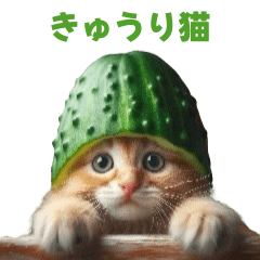 きゅうり猫