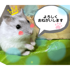 anene_20241029011059