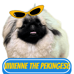 WOOFME WITH VIVIENNE THE PEKINGESE