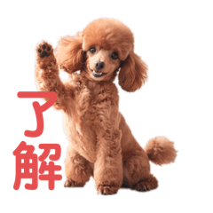 Let's use the toy poodle stamp