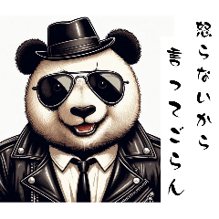 cool Panda so cool