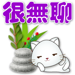 Cute white cat - Practical  greetings