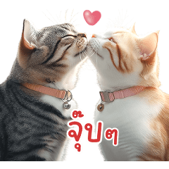 Cute Cat Couples (TH)