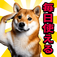 AI Realistic Shiba Inu @Everyday