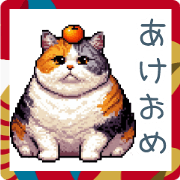 New year cat 2025