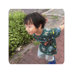 kodamasan_20241029202848