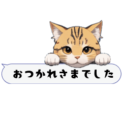 cat speech bubble (japanese)