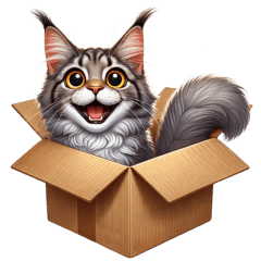 A maine coon in the cardboard box 1