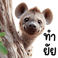 JoomMhong is a cute Hyena