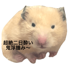 unauna_20241029195523