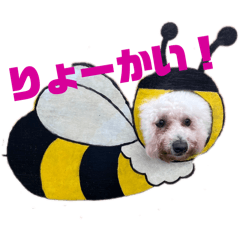 shiromama_20241029224036