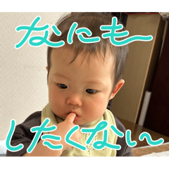 strawberry_20241029232643
