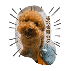 阿梨日常2.0