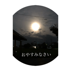 tanuki_20241030124734