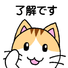 Everyday Warm Cat Sticker