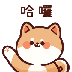 Mr. Shiba Shiba