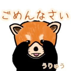 Uryuu's lesser panda