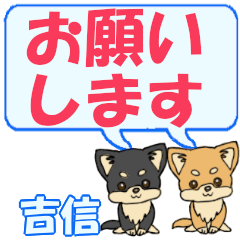 吉信「よしのぶ」用でか文字チワワ２