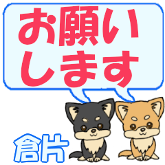 倉片「くらかた」用でか文字チワワ２